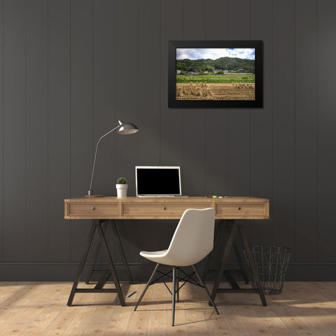 Japan, Nara, Heguri-cho Field of drying rice Black Modern Wood Framed Art Print by Flaherty, Dennis