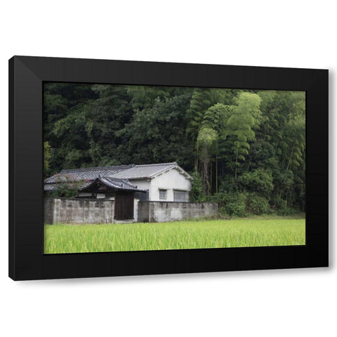 Japan, Heguri-cho Rural home next to rice field Black Modern Wood Framed Art Print with Double Matting by Flaherty, Dennis