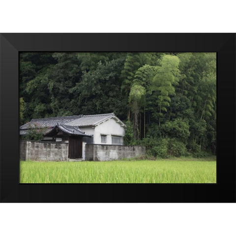 Japan, Heguri-cho Rural home next to rice field Black Modern Wood Framed Art Print by Flaherty, Dennis
