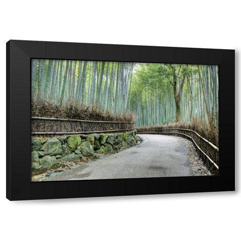 Japan, Kyoto Arashiyama Bamboo Grove Black Modern Wood Framed Art Print with Double Matting by Flaherty, Dennis