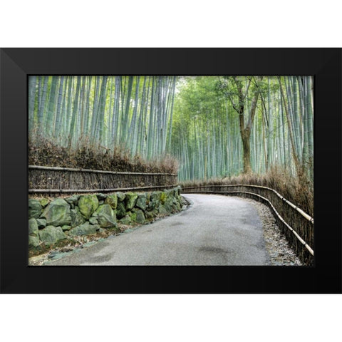 Japan, Kyoto Arashiyama Bamboo Grove Black Modern Wood Framed Art Print by Flaherty, Dennis
