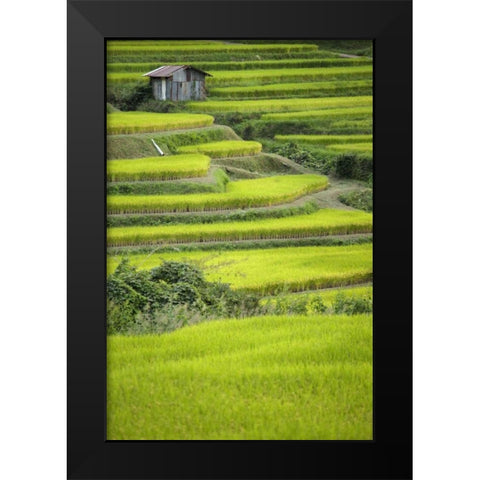 Japan, Nara, Soni Plateau Rice terraces Black Modern Wood Framed Art Print by Flaherty, Dennis