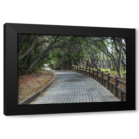 Japan, Wakagama Prefecture Brick pathway Black Modern Wood Framed Art Print by Flaherty, Dennis