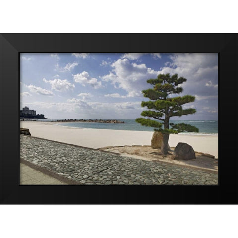 Japan, Shiranahma Scenic of White Harbor Black Modern Wood Framed Art Print by Flaherty, Dennis