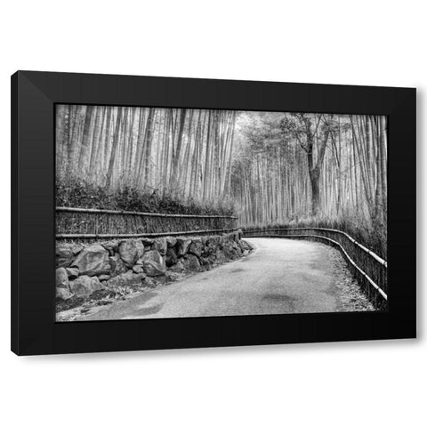 Japan, Kyoto Walkway through Arashiyama Grove Black Modern Wood Framed Art Print with Double Matting by Flaherty, Dennis