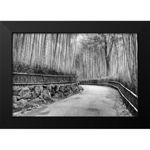 Japan, Kyoto Walkway through Arashiyama Grove Black Modern Wood Framed Art Print by Flaherty, Dennis