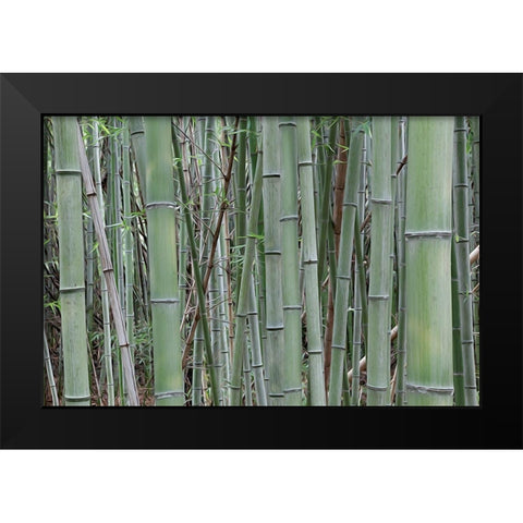 Nara Provence Abstract of bamboo Black Modern Wood Framed Art Print by Jaynes Gallery