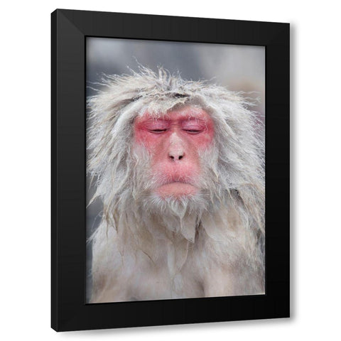 Japan-Nagano  Black Modern Wood Framed Art Print with Double Matting by Goff, Ellen