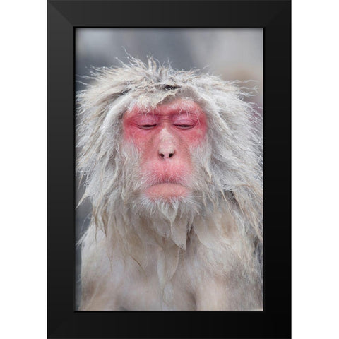 Japan-Nagano  Black Modern Wood Framed Art Print by Goff, Ellen