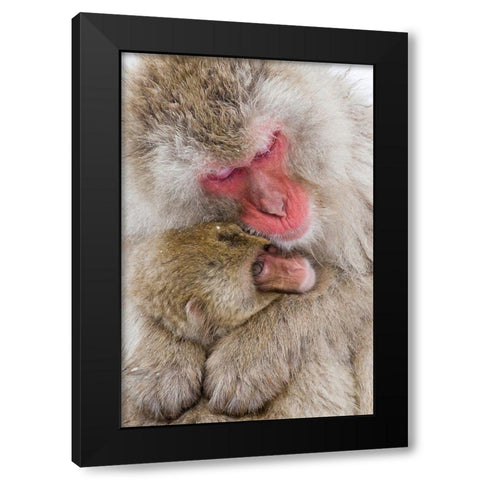 Japan-Nagano  Black Modern Wood Framed Art Print by Goff, Ellen