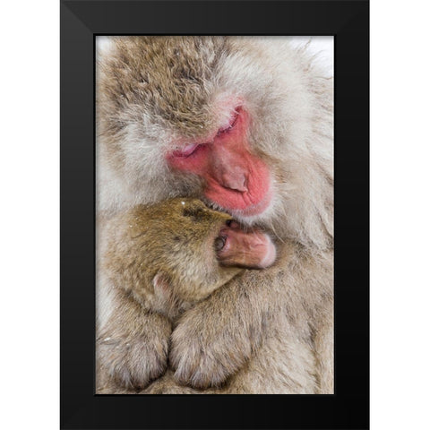 Japan-Nagano  Black Modern Wood Framed Art Print by Goff, Ellen