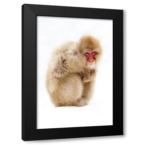 Japan-Nagano  Black Modern Wood Framed Art Print by Goff, Ellen