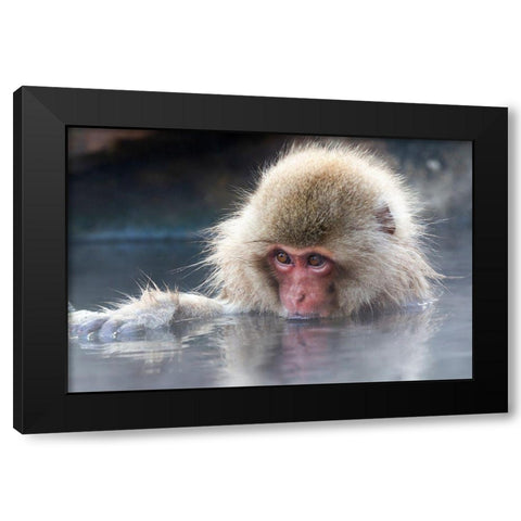 Japan-Nagano Portrait of a juvenile Black Modern Wood Framed Art Print by Goff, Ellen