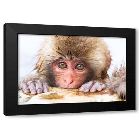 Japan-Nagano  Black Modern Wood Framed Art Print with Double Matting by Goff, Ellen