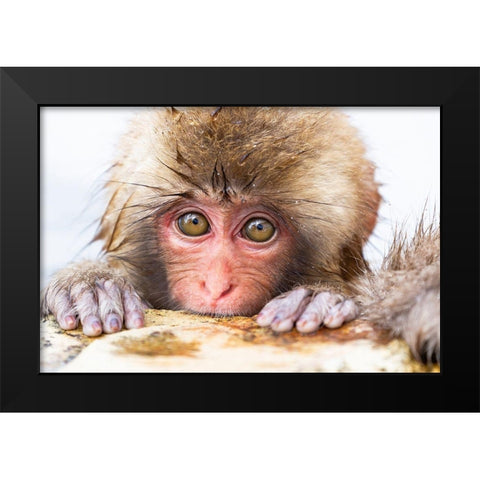 Japan-Nagano  Black Modern Wood Framed Art Print by Goff, Ellen