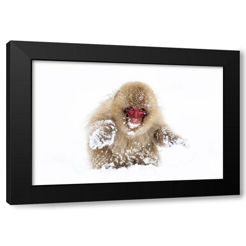 Japan-Nagano Black Modern Wood Framed Art Print with Double Matting by Goff, Ellen