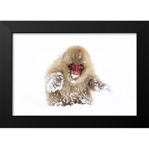 Japan-Nagano Black Modern Wood Framed Art Print by Goff, Ellen