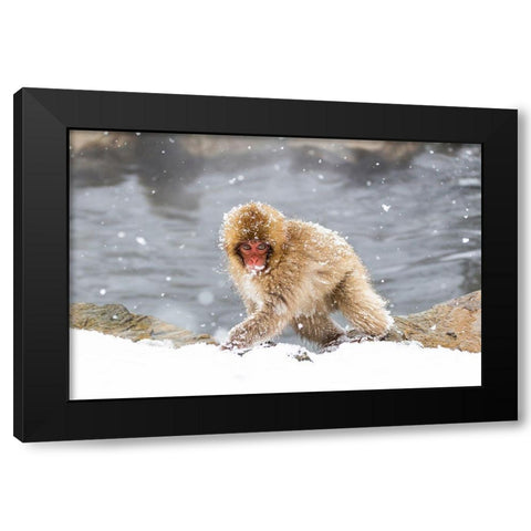 Japan-Nagano Black Modern Wood Framed Art Print by Goff, Ellen