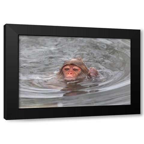 Japan-Nagano Black Modern Wood Framed Art Print by Goff, Ellen