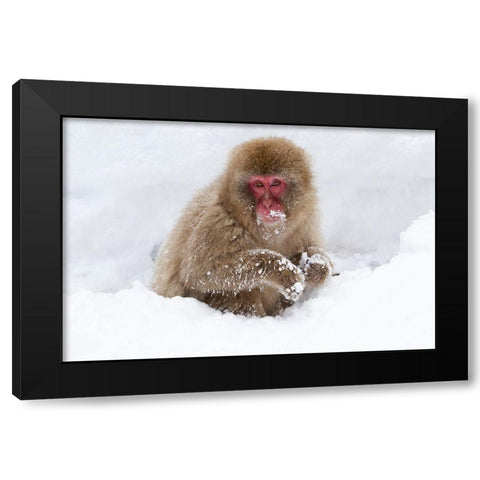 Japan-Nagano Black Modern Wood Framed Art Print by Goff, Ellen