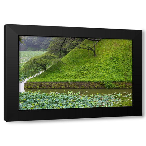 Lotus pond in the Royal Palace-Tokyo-Japan Black Modern Wood Framed Art Print by Su, Keren