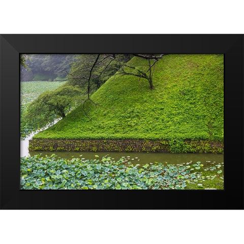 Lotus pond in the Royal Palace-Tokyo-Japan Black Modern Wood Framed Art Print by Su, Keren