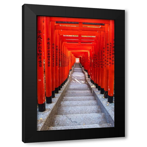 Famous Torii-or gates of the entrance to the Hie Shrine in Tokyo-Japan Black Modern Wood Framed Art Print with Double Matting by Haddad, Sheila
