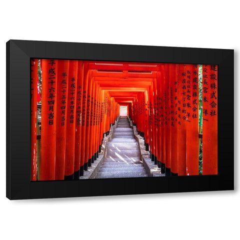 Famous Torii-or gates of the entrance to the Hie Shrine in Tokyo-Japan Black Modern Wood Framed Art Print with Double Matting by Haddad, Sheila