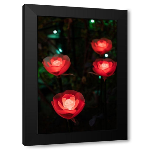 Illuminated red roses of the Ashikaga Flower park-Japan-at night in winter Black Modern Wood Framed Art Print by Haddad, Sheila