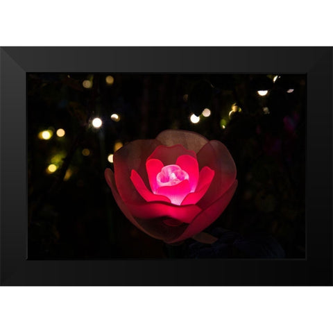 An illuminated red rose Black Modern Wood Framed Art Print by Haddad, Sheila