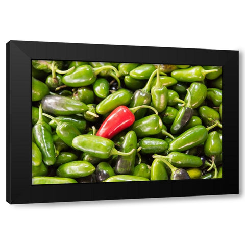 Selling peppers at the market-Kathmandu-Nepal Black Modern Wood Framed Art Print with Double Matting by Su, Keren