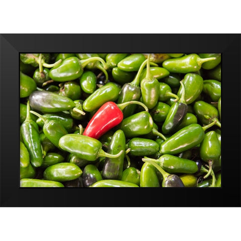 Selling peppers at the market-Kathmandu-Nepal Black Modern Wood Framed Art Print by Su, Keren