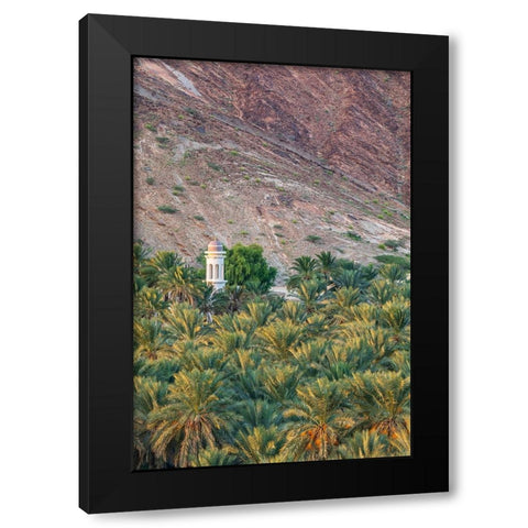 Middle East-Arabian Peninsula-Oman-Ad Dakhiliyah-Nizwa Black Modern Wood Framed Art Print with Double Matting by Wilson, Emily M.