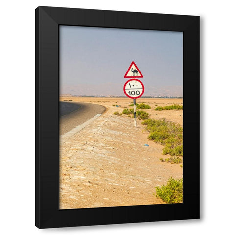 Middle East-Arabian Peninsula-Al Batinah South-Camel crossing Black Modern Wood Framed Art Print with Double Matting by Wilson, Emily M.