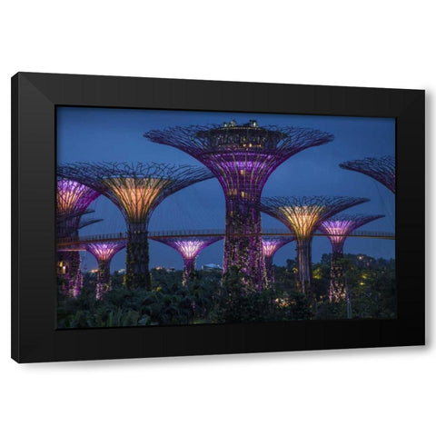 Singapore Garden by the Sea towers at night Black Modern Wood Framed Art Print by Zuckerman, Jim