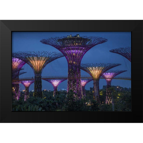 Singapore Garden by the Sea towers at night Black Modern Wood Framed Art Print by Zuckerman, Jim