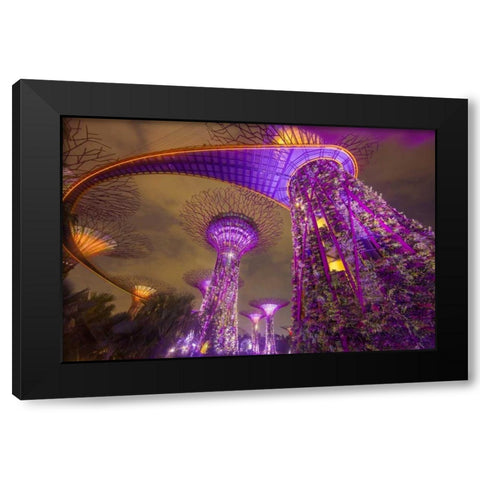 Singapore Garden by the Sea towers at night Black Modern Wood Framed Art Print by Zuckerman, Jim