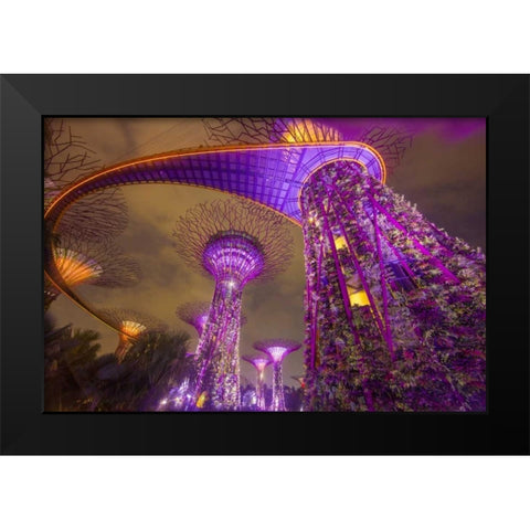 Singapore Garden by the Sea towers at night Black Modern Wood Framed Art Print by Zuckerman, Jim