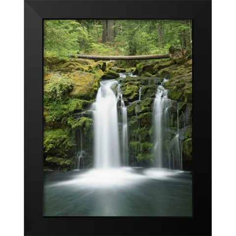 OR, Cascade Range, Umpqua NF Whitehorse Falls Black Modern Wood Framed Art Print by Flaherty, Dennis