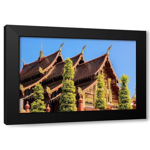 Thailand Royal Park Ratchaphruek Roof of a temple Black Modern Wood Framed Art Print with Double Matting by Haseltine, Tom