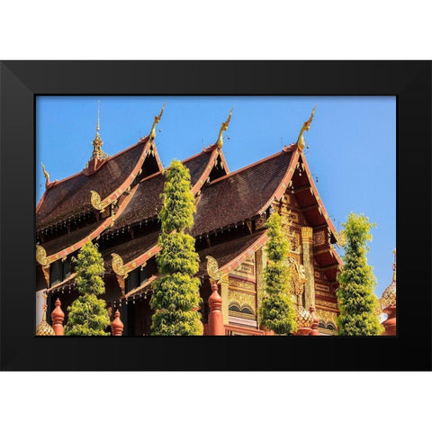 Thailand Royal Park Ratchaphruek Roof of a temple Black Modern Wood Framed Art Print by Haseltine, Tom
