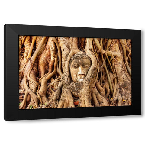 Thailand- Ayutthaya. Wat Mahathat. Buddha head engulfed in tree roots. Black Modern Wood Framed Art Print by Haseltine, Tom