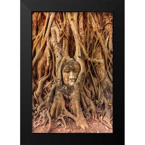 Thailand- Ayutthaya. Wat Mahathat. Buddha head engulfed in tree roots. Black Modern Wood Framed Art Print by Haseltine, Tom