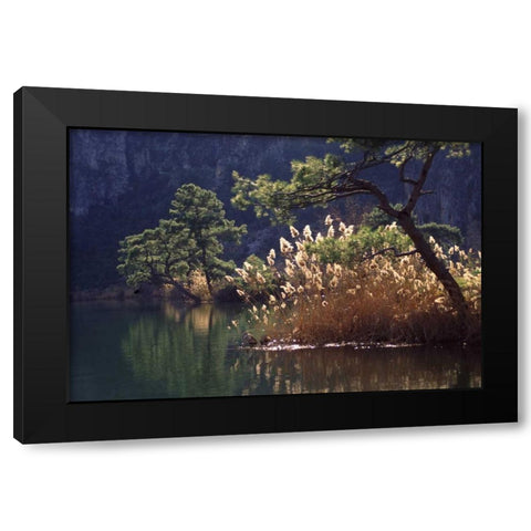 Turkey, Dalyan Pines, grasses and waterfowl Black Modern Wood Framed Art Print with Double Matting by Satushek, Steve