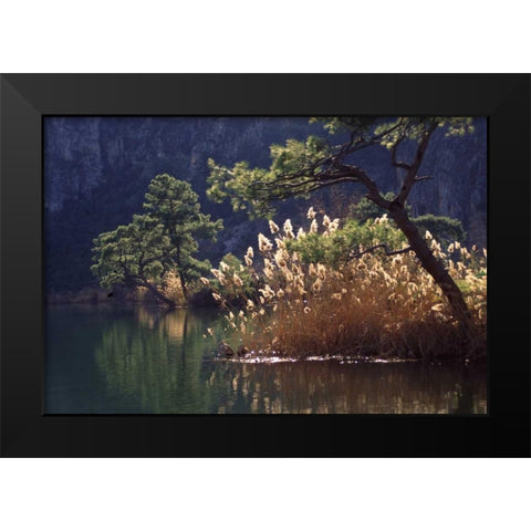 Turkey, Dalyan Pines, grasses and waterfowl Black Modern Wood Framed Art Print by Satushek, Steve