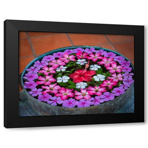 Asia-Vietnam-Mui Ne Red-white-pink-and purple flowers floating in a bowl of water Black Modern Wood Framed Art Print by Merrill Images