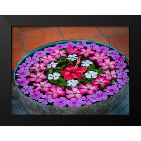 Asia-Vietnam-Mui Ne Red-white-pink-and purple flowers floating in a bowl of water Black Modern Wood Framed Art Print by Merrill Images