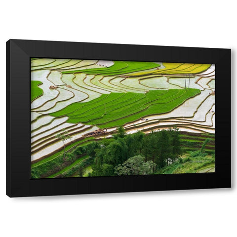 Vietnam -Rice paddies in the highlands of Sapa Black Modern Wood Framed Art Print with Double Matting by Norring, Tom