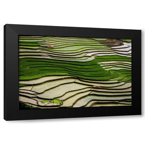 Vietnam -Rice paddies in the highlands of Sapa Black Modern Wood Framed Art Print with Double Matting by Norring, Tom