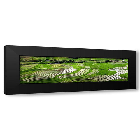 Vietnam -Rice paddies in the highlands of Sapa Black Modern Wood Framed Art Print by Norring, Tom